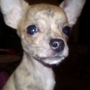 Meet your Posher, Saralee